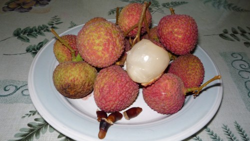 sweet delicious Lychees