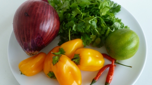 Ingredients for salsa